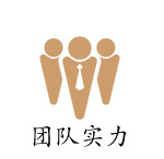 团队实力